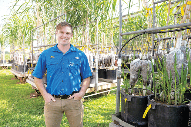 Cutline:   Brayden Blanchard stands next to sugarcane plants on crossing carts at the LSU AgCenter Sugar Research Station in St. Gabriel. Photo by Olivia McClure/LSU AgCenter