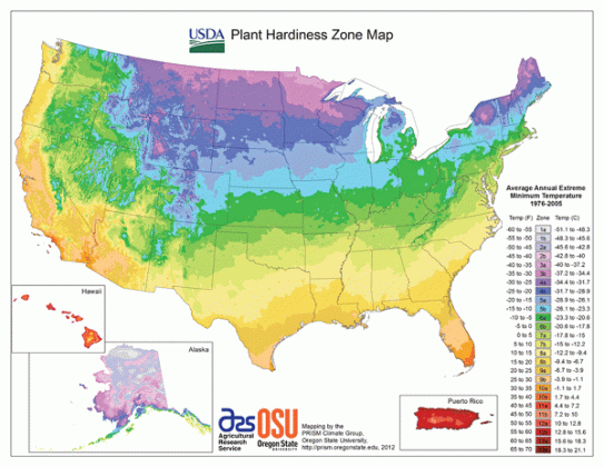 USDA hardiness zones maps are a useful tool for gardeners, dividing the country into climatic zones that can help determine what plants will perform best where. (Graphic by the U.S. Department of Agriculture)