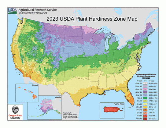 By Heather  Kirk-Ballard  LSU AgCenter  horticulturist  In November, the U.S. Department of Agriculture released its latest version of the Hardiness Zone Map. This mapping system categorizes geographic regions according to their average annual minimum winter temperatures. The map helps by assisting gardeners, horticulturists and landscaping experts in choosing plants suited to specific climates.   The USDA Hardiness Zone Map has a history dating back several decades, and it has undergone multiple revisions 