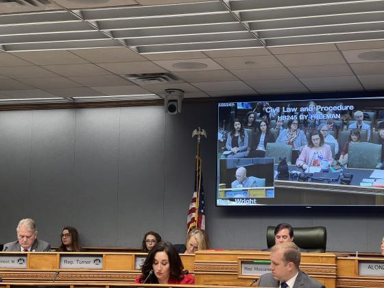 A House committee rejected a proposed change to abortion laws at a hearing Monday. Photo credit: Jordyn Wilson/LSU Manship School News Service