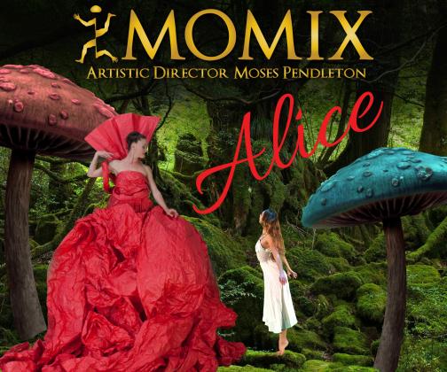 Momix