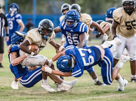 Blue Jays Takedown of Opponent