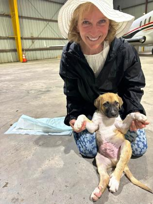 Woman holding dog