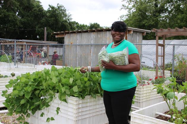 Bobbie Brown, coordinator of Sisters2Sisters, a local women’s needs shelter, accepts freshly growned snap beans from the Eunice Community Garden to give to others. The Eunice Community Garden has started a new program “Grow an Extra Row” as a vegetable garden outreach to give to others in the community. (Photo by Myra Miller) 
