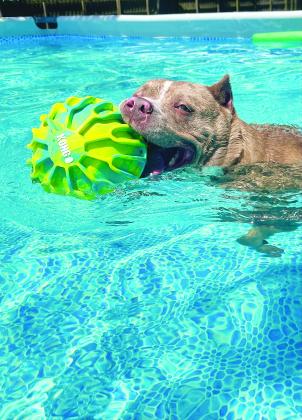We want to see your pups!