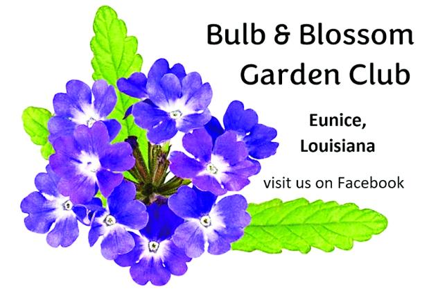 Bulb &amp; Blossom Garden Club