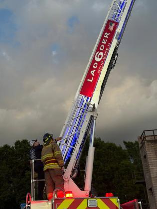 FD6 Training