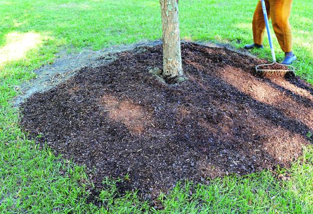 Replenishing mulch ahead of fall is a good idea.