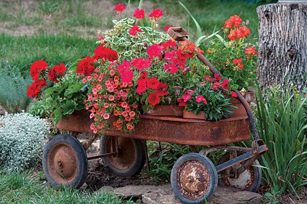 A new DIY (Do it Yourself) gardening column will appear twice a month in the Eunice News.