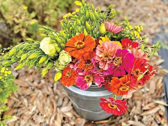 Cut flowers