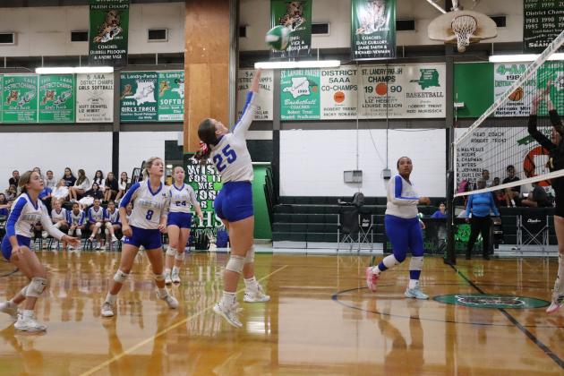 Lady Jays Volleyball