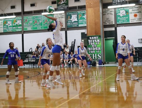 Lady Jays Volleyball