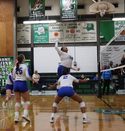 Lady Jays Volleyball