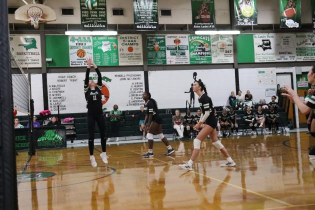 Bobcats Volleyball