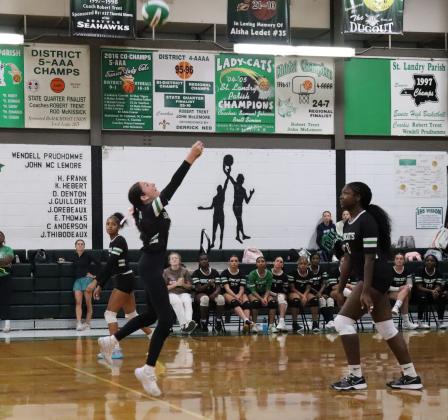 Bobcats Volleyball