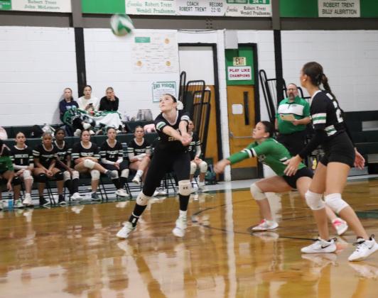 Bobcats Volleyball