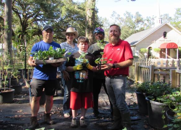 Gardeners holding produce. Covington Community Garden volunteers are preparing to rebuild what was damaged by Hurricane Ida. Pictured are Tim Ellzey, the volunteer garden manger, LSU AgCenter family and consumer sciences regional coordinator Valerie Vincent, Covington Kids Garden Club member Jaiden Gifford, Pam McKay of Gods Unchanging Hand Feeding Ministry and AgCenter agent William Afton. (Photo by Valerie Vincent/LSU AgCenter)