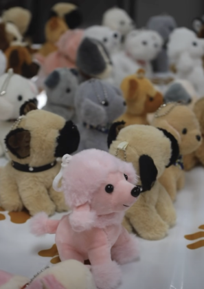 Stuffed Puppies