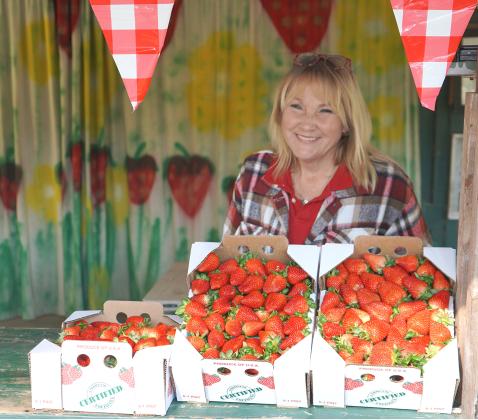 Rhonda Poche, of the Landry-Poche Farm near Holden, shows off some of her strawberries as she prepares for a school field trip to the farm. (Photo by Johnny Morgan/LSU AgCenter)