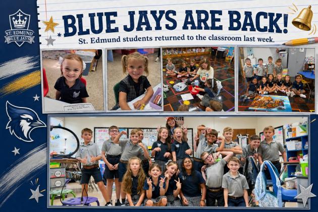Blue Jays are back!