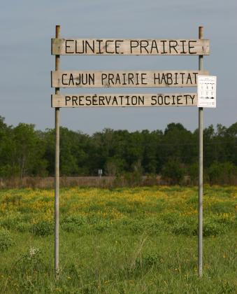 Cajun Prairie in Eunice. 