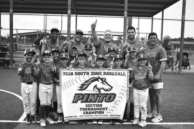 8U All-Stars