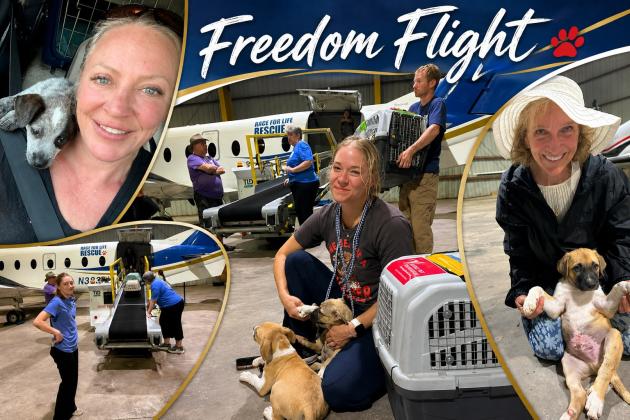 Freedom Flight
