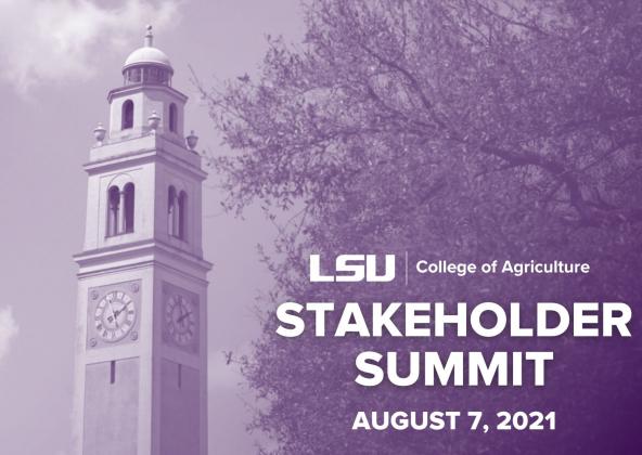 Stakeholder Summit