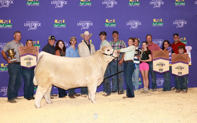 Addison Zaunbrecher, a junior at Notre Dame High School of Acadia Parish and a 4-H Club member, recently exhibited two market steers at LSU State Show in Gonzales.