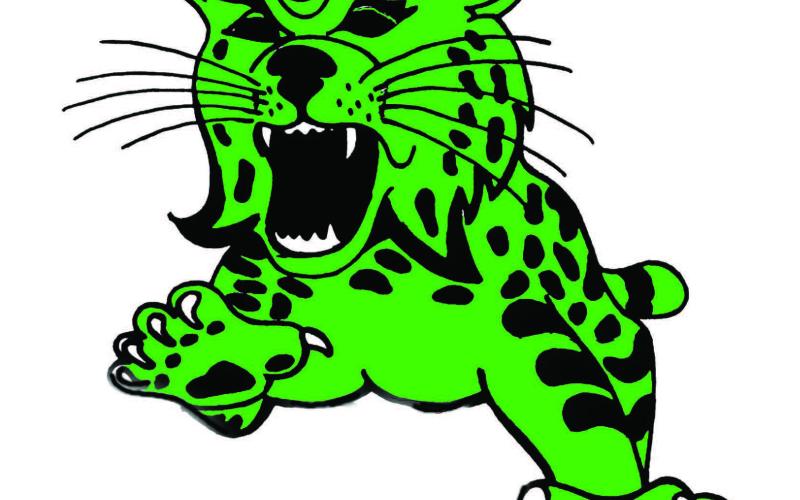 The Eunice High Bobcats will enter the 2027 baseball season under the leadership of second-year head coach Stuart Turner with an experienced roster featuring several returning all-district players.