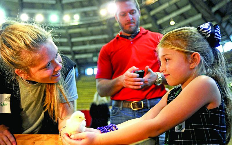 Children have a chance to hold baby chicks during AgMagic, an annual event that teaches them about Louisiana agriculture. (LSU AgCenter file photo)