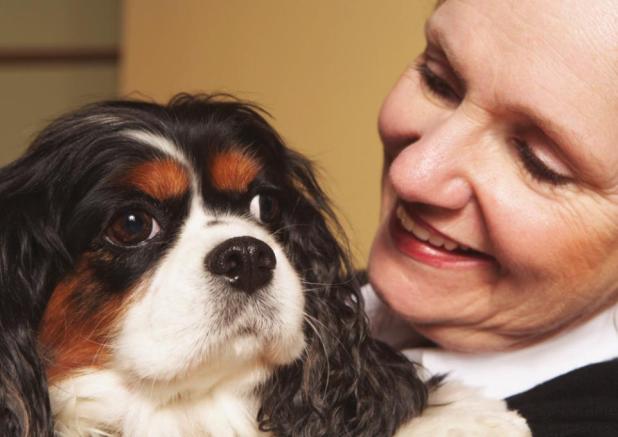 Pets bring many benefits to their owner’s lives and they may be the perfect remedy for seniors looking for a friend and purpose. (Newspaper Metro photo)