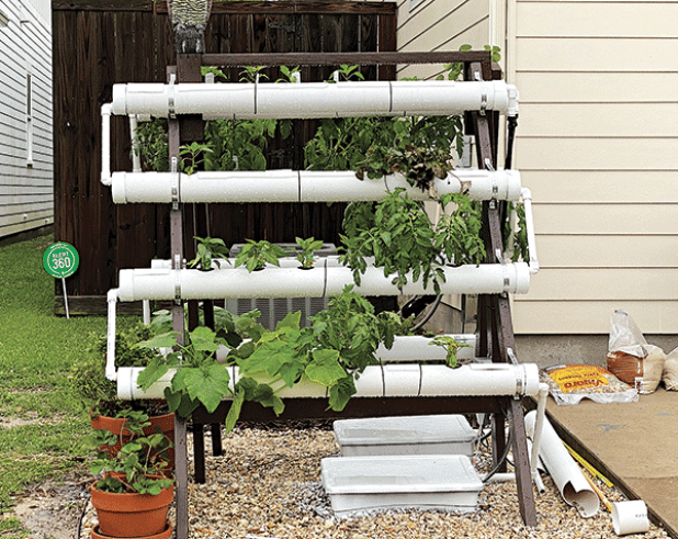 By Heather Kirk-Ballard  LSU AgCenter horticulturist  When gardeners think of micro gardens, they may think of micro greens — but micro gardening is so much more than that.   Shrinking lot sizes and growing urban sprawls are leaving less room for vegetation, and that raises a challenge for both urban and suburban gardeners. They will have to grow to meet these changes.   Micro gardening is a method of gardening that is ideal for those with limited or nontraditional spaces to plant and grow vegetables, fruit