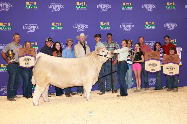 Addison Zaunbrecher, a junior at Notre Dame High School of Acadia Parish and a 4-H Club member, recently exhibited two market steers at LSU State Show in Gonzales.