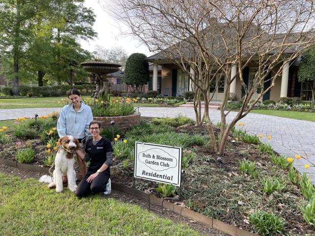 Residential Garden of the Month selected