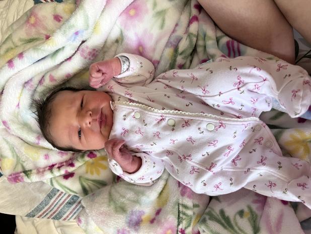 Scarlett Ann Fontenot
