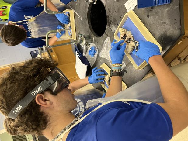 St. Edmund High students dissect a frog