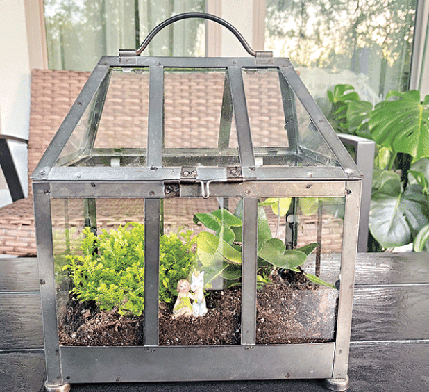 Wardian cases were used in the Victorian Age to protect plants during long-distance travel. (Photo by Heather Kirk-Ballard/LSU AgCenter)