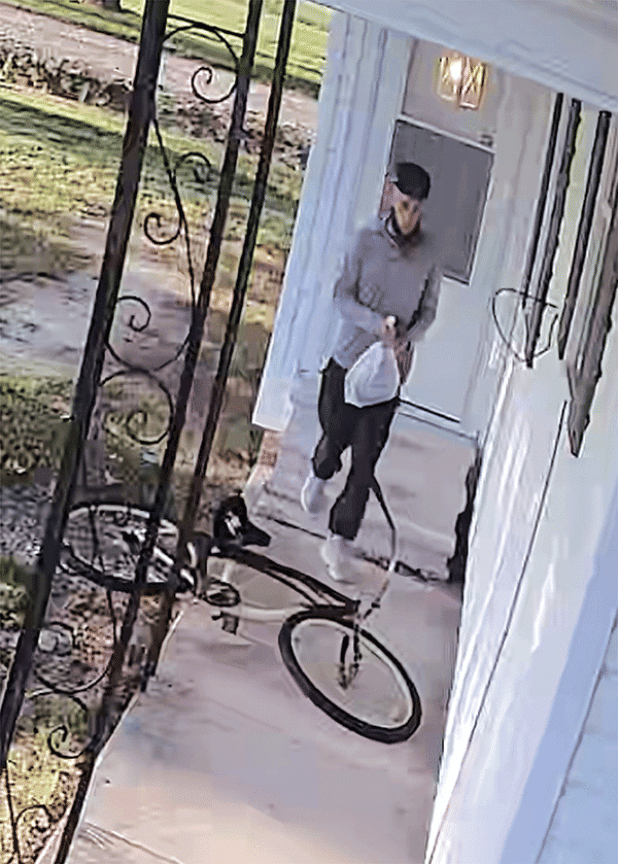 Burglary suspect