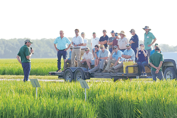 The LSU AgCenter H. Rouse Caffey Rice Research Station will hold its 115th annual field day June 25. In this photo, Adam Famoso, AgCenter rice breeder and resident coordinator of the station, addresses attendees at the event last year. (LSU AgCenter file photo)