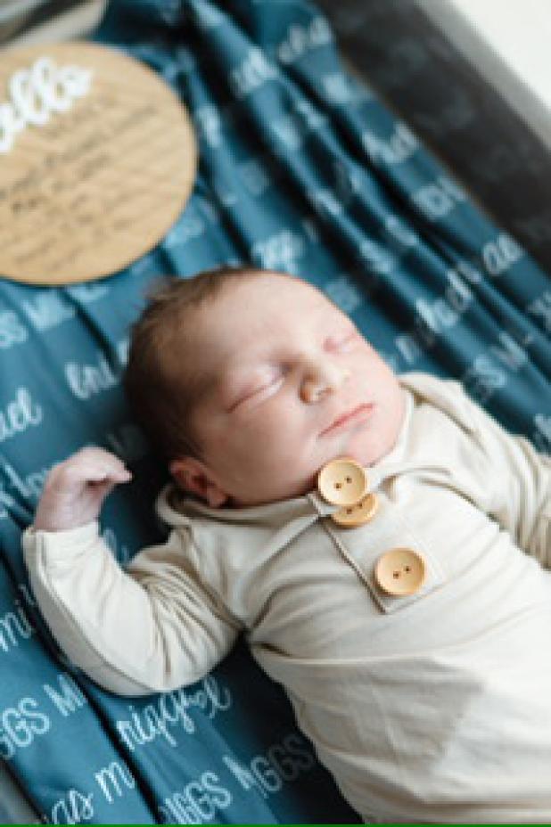 Briggs Michael Leger
