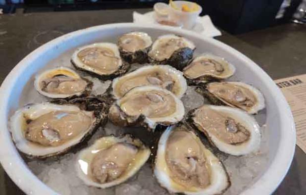 Oysters