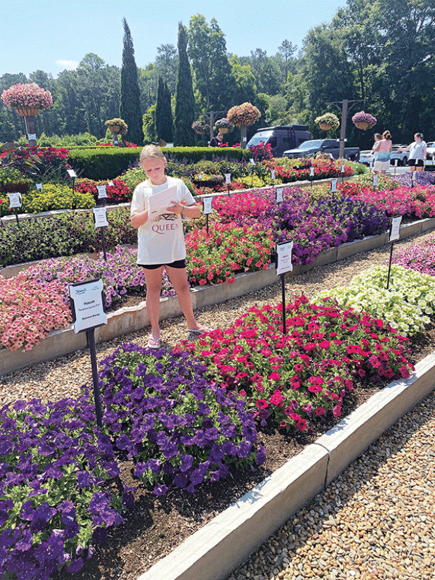 By attending trial gardens, you can take note of new varieties to look for in local retail garden centers. (Photos by Heather Kirk-Ballard/LSU AgCenter)