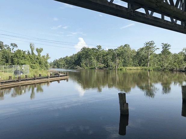 This portion of Bayou Chevreuil in St. James Parish leads to 2,000 acres of swampland the state may buy from a group that includes the former speaker of the Louisiana House of Representatives. (Greg LaRose/Louisiana Illuminator)