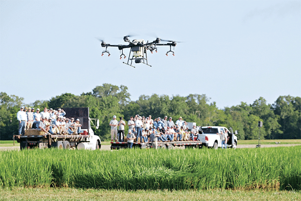 Attendees of the LSU AgCenter H. Rouse Caffey Rice Research Station’s 115th annual field day view a demonstration of a spray drone.