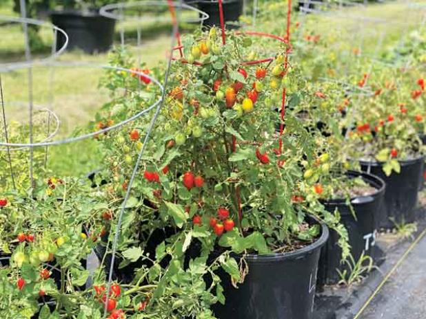Containers