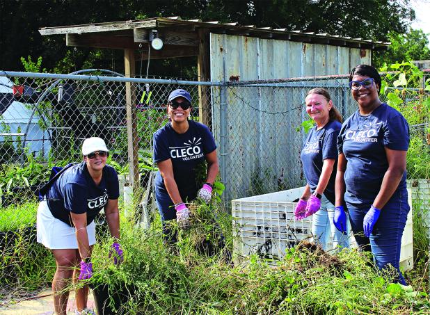 Cleco representatives volunteer at the Eunice Community Garden Wednesday morning. Weeding planter boxes from left are Candice Serie, Ivon Stutes, Erika Thompson and Latasha Malveaux. 