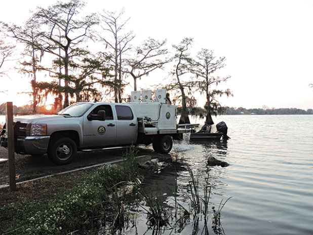 Fish stocking operation. (Louisiana Department of Wildlife and Fisheries photo)