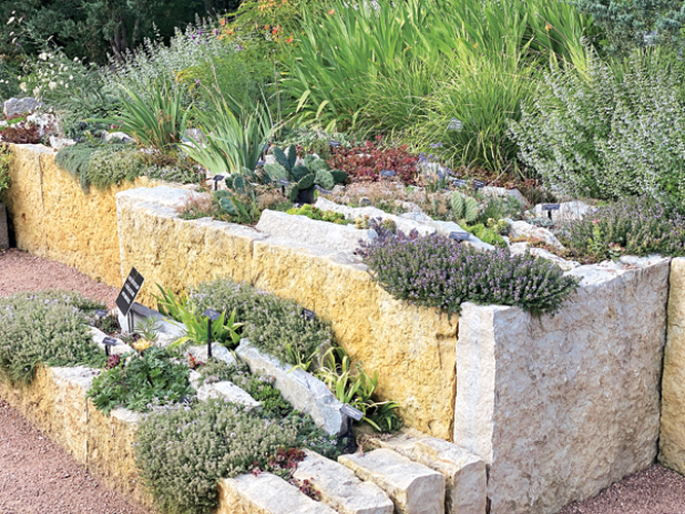 Rock garden with plants. (Photo by Heather Kirk-Ballard/LSU AgCenter) 