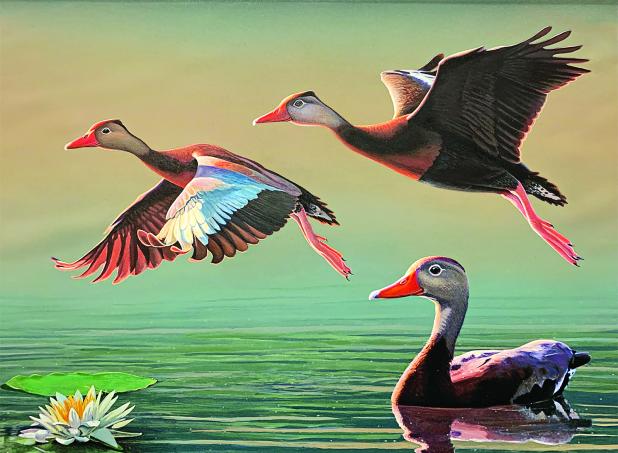 John Nelson Harris’ winning entry in the 2025 Louisiana Duck Stamp Contest. (Submitted photo)